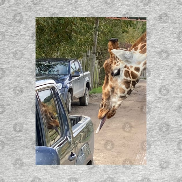 This Giraffe Thinks This Truck Might be Tasty by Bucklandcrafts